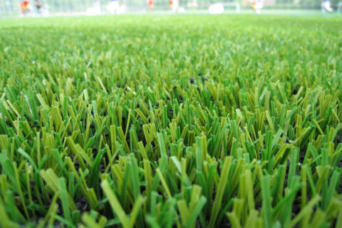 Artificial Grass & Turf Toronto 